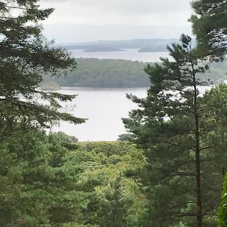 Tall Trees Seaside & Nature Retreat B&B Delgany Экстерьер фото